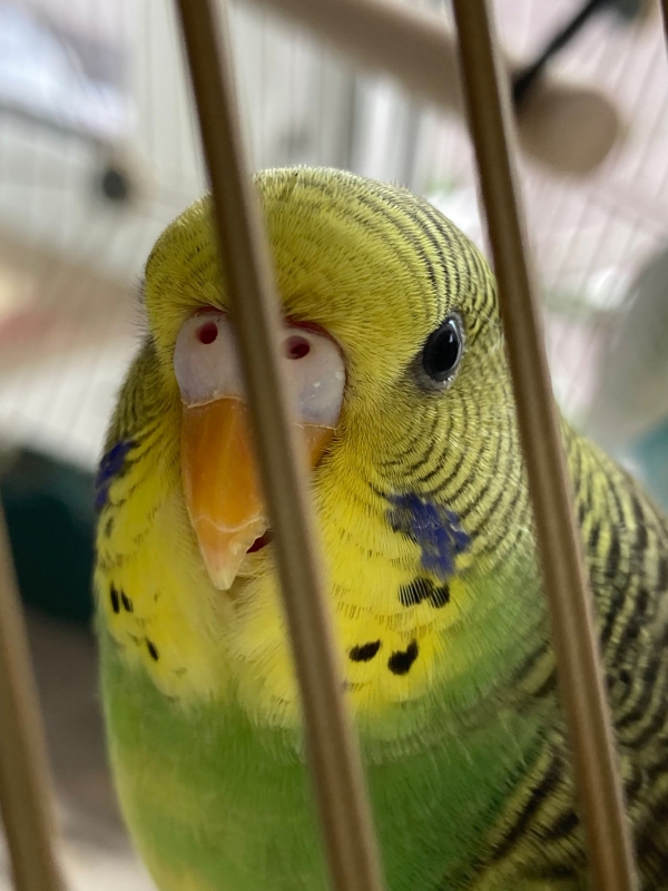 Sunny