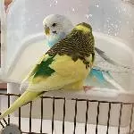 Badewannenzeit 