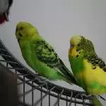 Jürgen und Millie