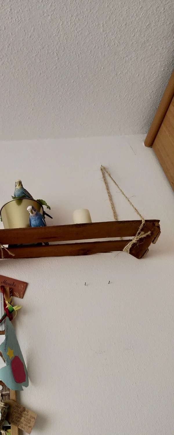 Wellensittich-Bild: Hauptsache zu zweit ????