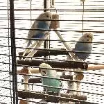 Luis, Lolli, Herbert und Flecki 