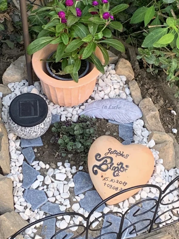 Wellensittich-Bild: Im Garten begraben, sein letztes Ruheplätzchen.