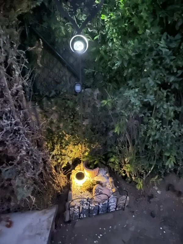 Wellensittich-Bild: Begräbnis von bimbi am Abend