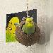 Tweety