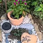 Bimbis Ruheplatz fertig