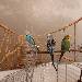 Die fantastischen Vier Flap-Flaps