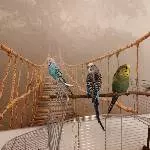 Die fantastischen Vier Flap-Flaps