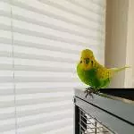 Hi ich bin Hansi