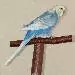 Artus