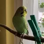 Hallo ich bin Tobi