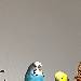 Bubi und Olaf 
