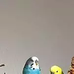 Bubi und Olaf 