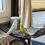 Und was machen wir nun?