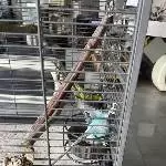 Abtauchen in die Näpfe