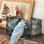 Hilde im Spiegelkabinett