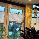 Und, ist da nun Hirse hinter dem Vorhang?