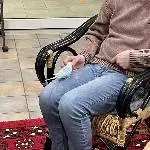 Auch Wellis sitzen mal auf dem Schoß