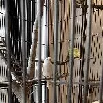 Hedwig am ersten Morgen