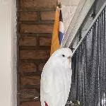 Neues Profilbild für Hedwig