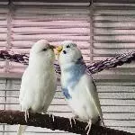  Freundschaft ????