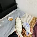 Miteinander ist es am schönsten
