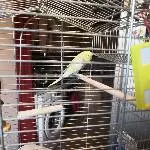 Das ist mein Pflegewelli Sanny