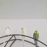 3erBande