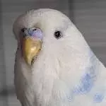 Erinnerung an Yuki