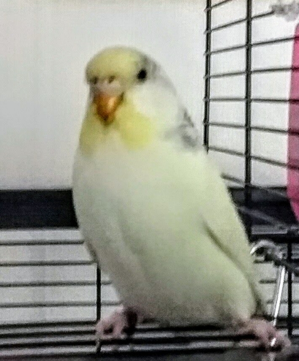 Mary