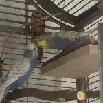 Küsschen und Fütterungszeit
