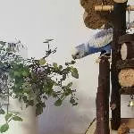 Lecker, das Grünzeug 