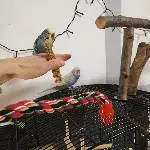 Blue auf der Hand