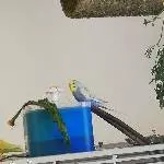 Dusche gefunden