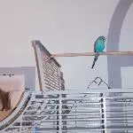 Irgendwas stimmt hier nicht