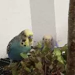 Wieder diese Fotos 