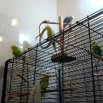Hanni, Bini, Lara und Jacky ...
