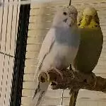 Maja und Peter