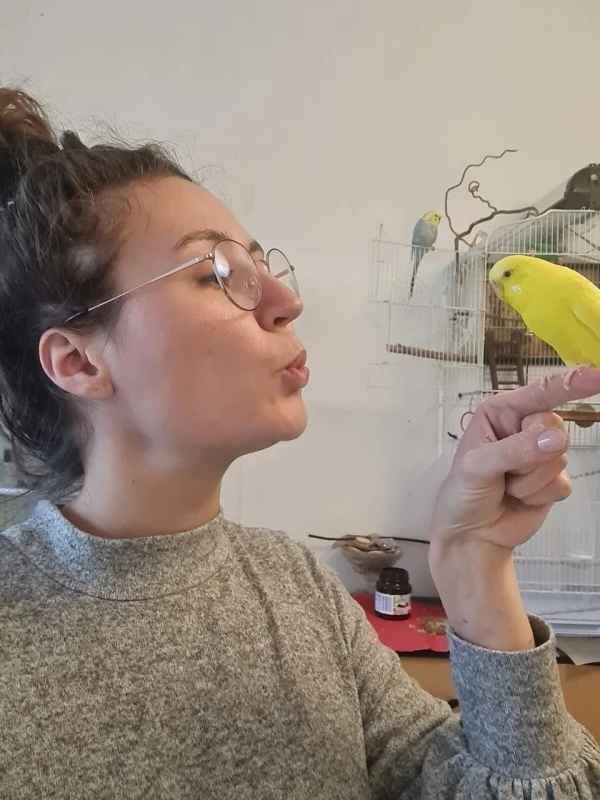 Wellensittich-Bild: Coco wurde schnell eifersüchtig, wenn er nicht auch Aufmerksamkeit oder Futter bekam, zum Glück lässt das Verhalten langsam nach. Anfangs waren diese kleinen Momente mit Rita sehr schön, aber rar. 