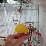 Die kleine Fressmaschine