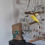 Was machst du denn schon zu Hause?