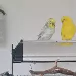 Rita Einfuß und Coco Nullfuß