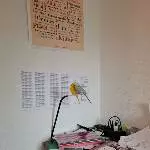 Kuschelausflug ins Büro