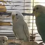 Yuki mit ihren Freundinnen 