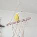 Unsere Tweety