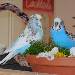 romantisches Treffen