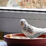 Kleine Bella