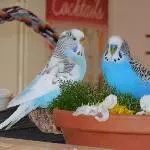 romantisches Treffen