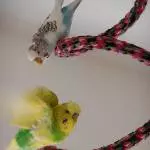 Meine Spirale-Abflug