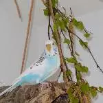 Der Frühling ist da