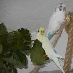 Fiennchen und Emmi